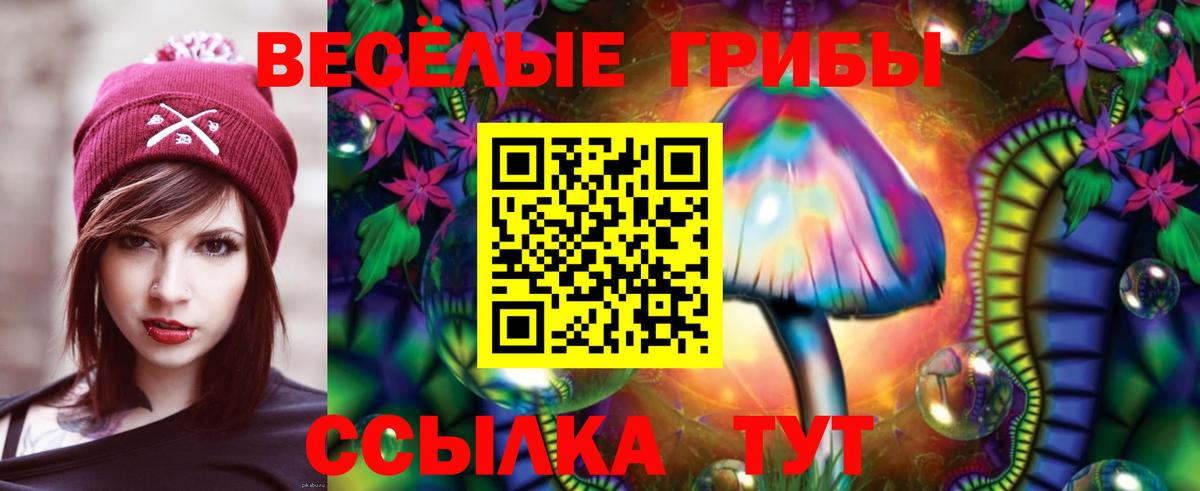 Галлюциногенные грибы Psilocybe  Вход с VPN  Галлюциногенные грибы GOLDEN TEACHER  Феодосия 